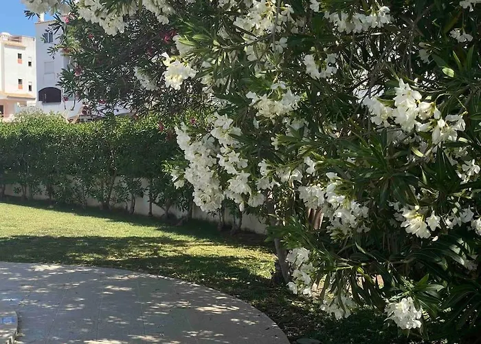 Orange With Private Pool البوفيرا