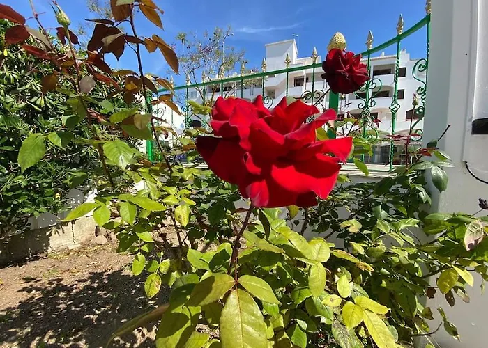 Orange With Private Pool فيلة