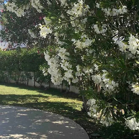 Orange With Private Pool 알부페이라