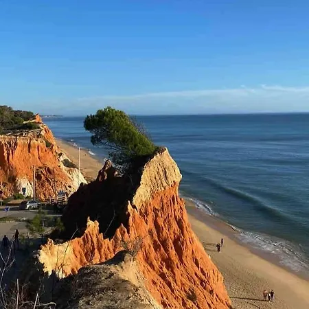 Orange With Private Pool 알부페이라