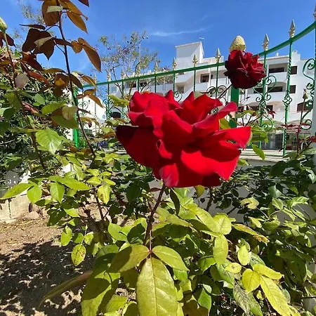 Orange With Private Pool 빌라